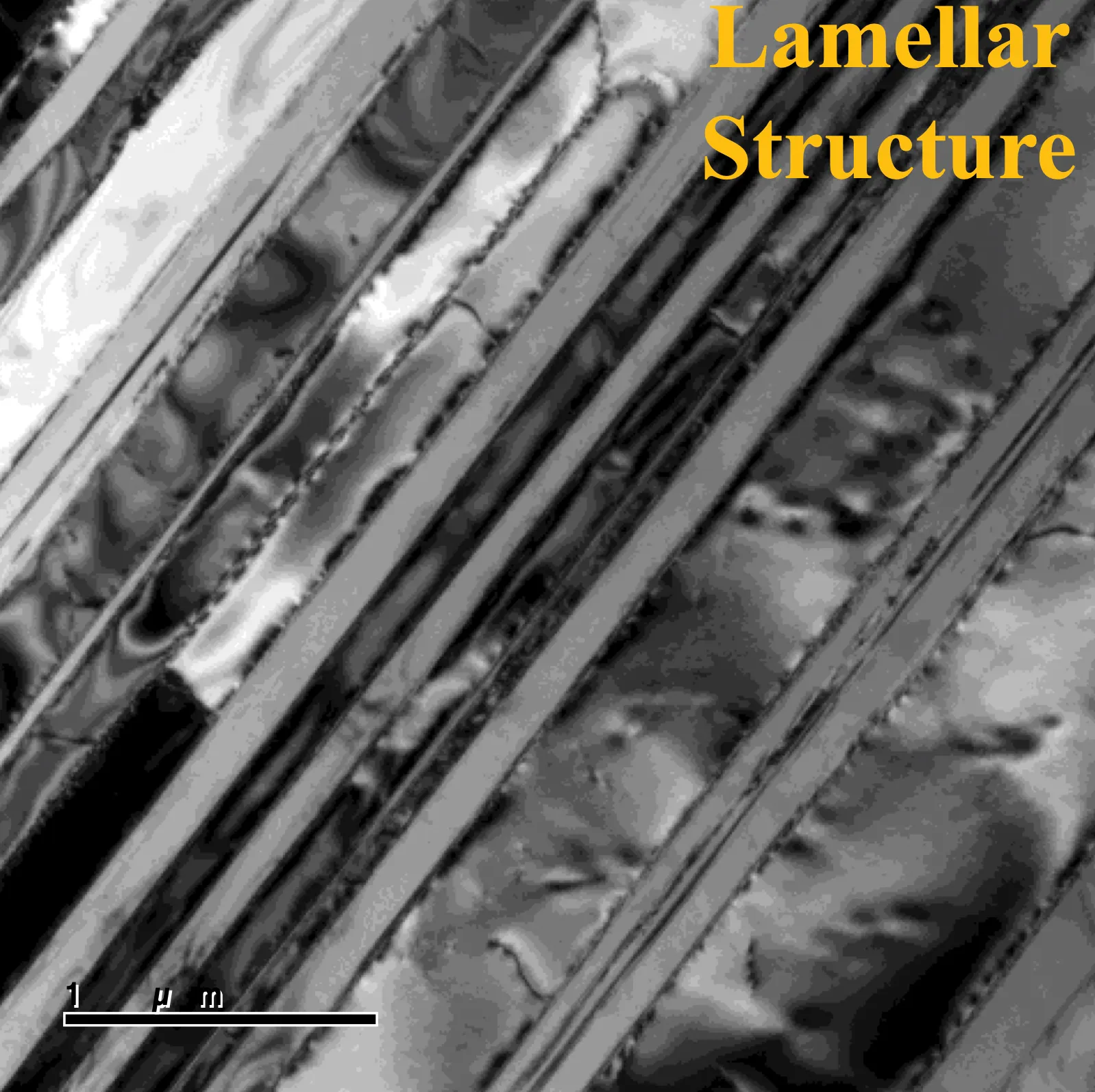 Screenshot 2025-12-11 at 1.21.34 PM (1)