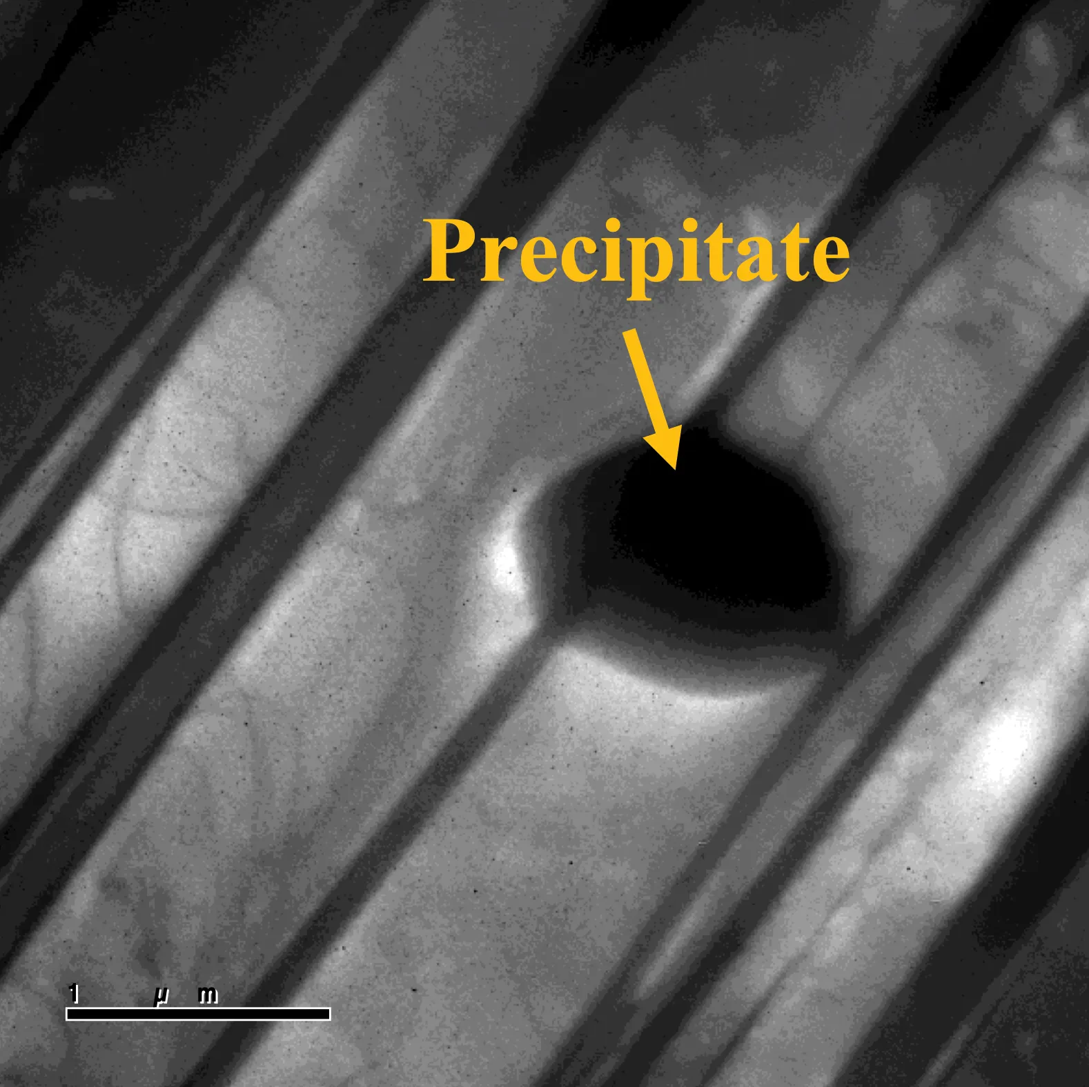 Screenshot 2025-12-11 at 1.21.44 PM (1)