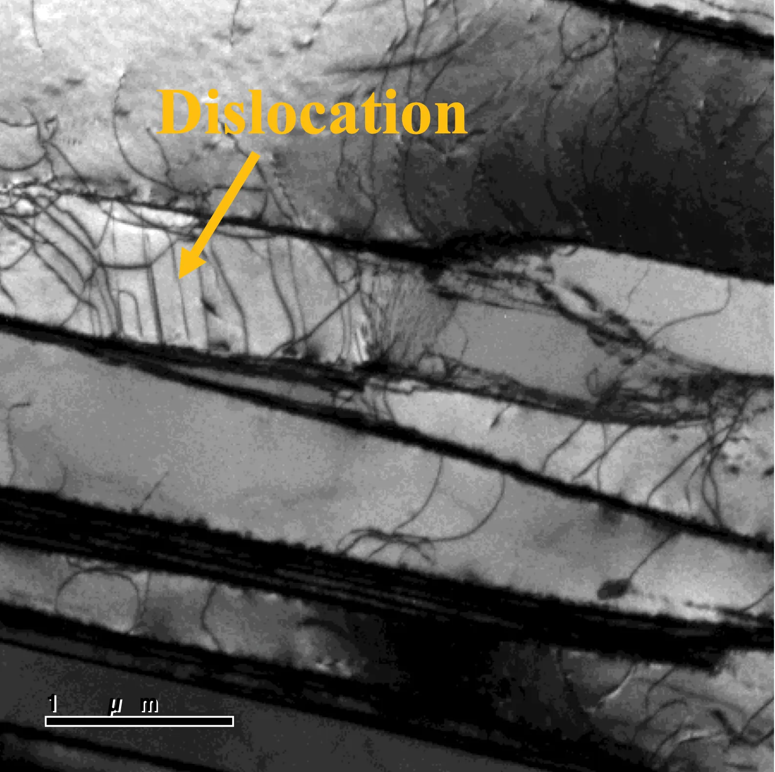 Screenshot 2025-12-11 at 1.21.56 PM (1)