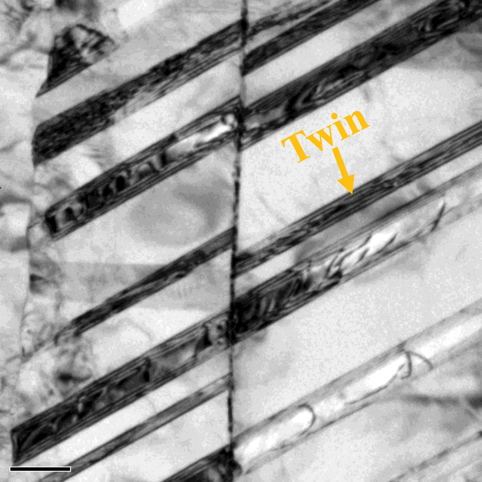 Screenshot 2025-12-11 at 1.22.07 PM (1)