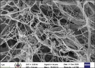 Cellulose Nano Fibre CNFs SEM micrograph left view