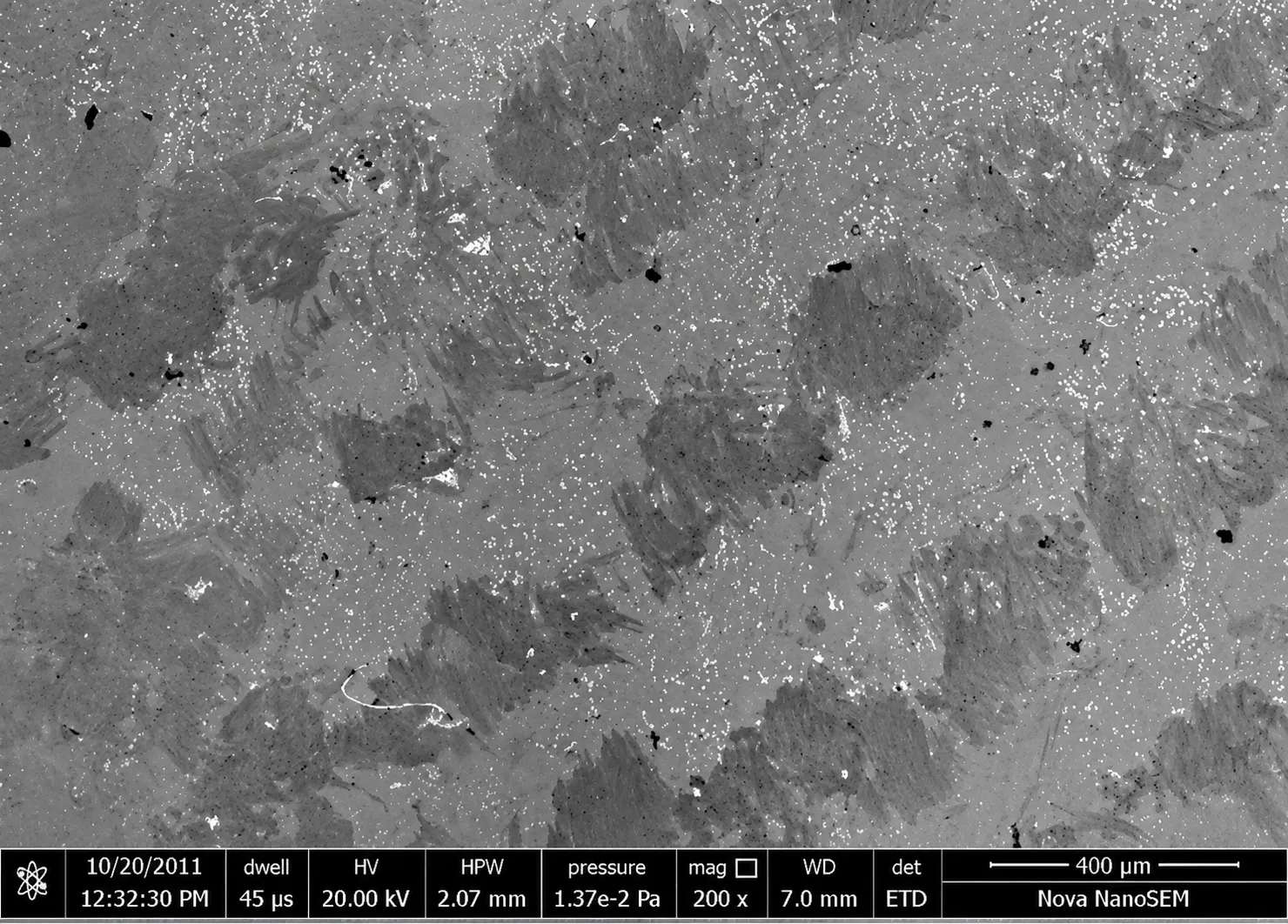 Fingerprint on SEM sample before plasma cleaning