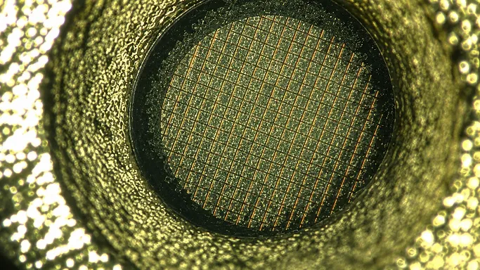 Hydrophilic Surface of carbon coated copper grid after plasma activation (wettability improved)