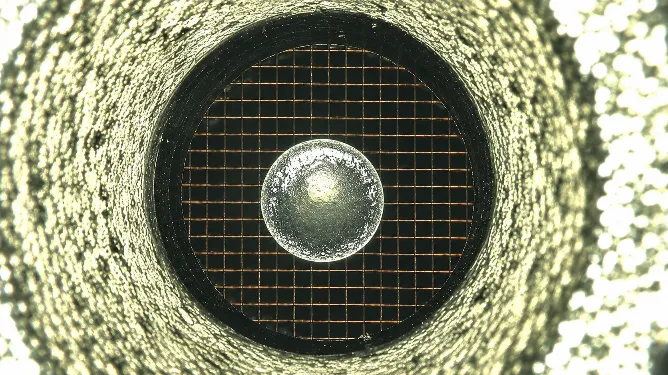 Hydrophobic Surface of carbon coated copper grid before plasma activation